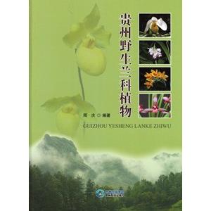 [中国語簡体字] 貴州野生蘭科植物