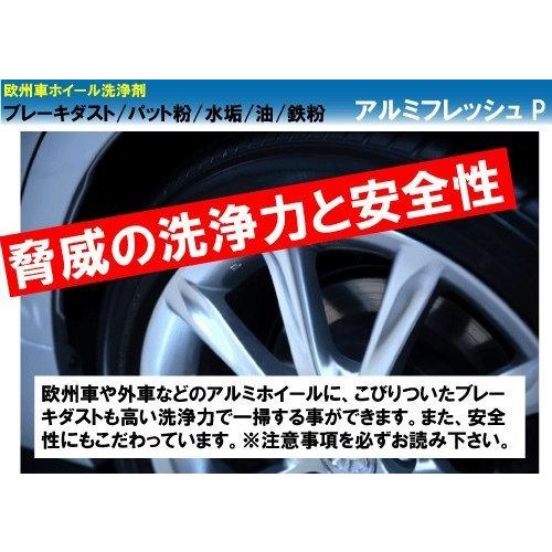 完売 アルミホイールクリーニング業務用セット フレッシュp ホイールブラシ 1lセット 業務用カークリーニング用 訳ありセール格安 Www Muslimaidusa Org