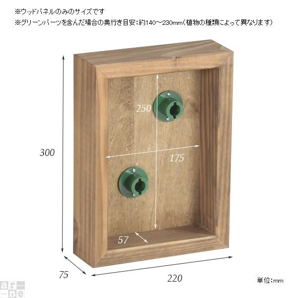 光触媒 フェイクグリーン 観葉植物 花 壁飾り ミニ 壁掛け アートフラワー 光触媒加工 フェイク 》｜atom-style｜02