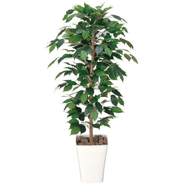 光触媒 観葉植物 人工植物 フェイクグリーン アートグリーン 造花 グリーン 人工観葉植物 除去