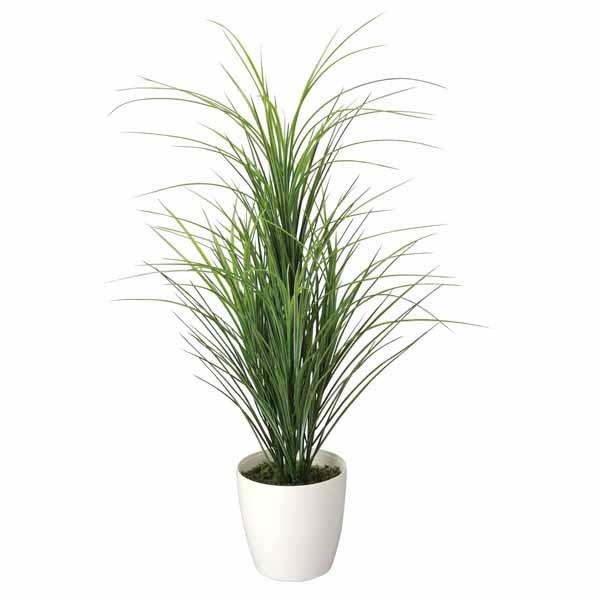 格安人気 光触媒 観葉植物 グラスツリー 高さ78cm フロアタイプ ミドルサイズ 人工観葉植物 分解 光の楽園 0119a003 Atom Diy 通販 Yahoo ショッピング 限定価格セール Mobile Scotturb Com
