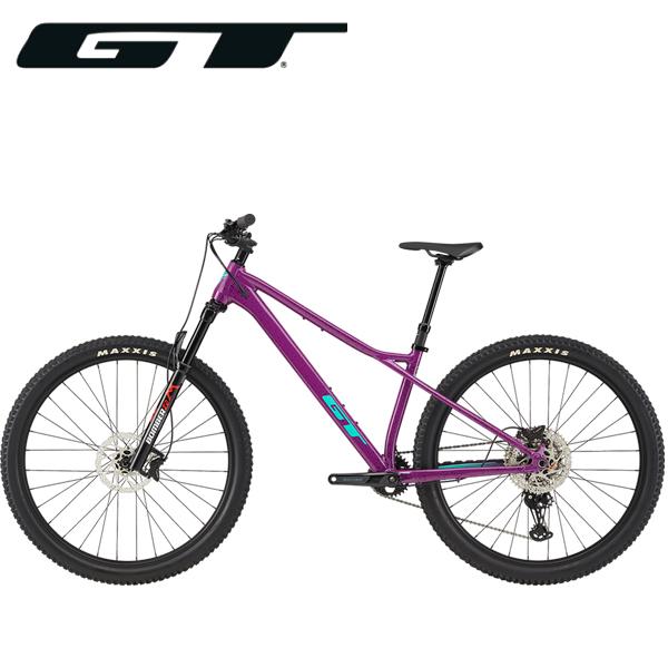GT 2025 GT ZASKAR LT PRO ザスカー LT アロイ プロ 29インチ