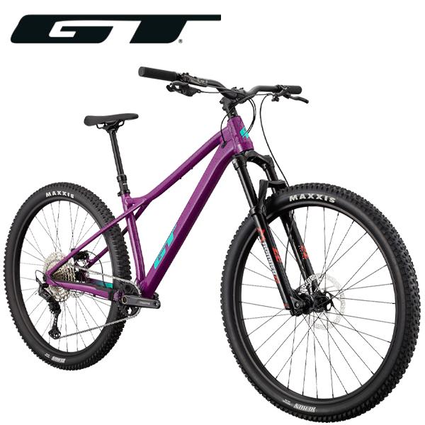 GT 2025 GT ZASKAR LT PRO ザスカー LT アロイ プロ 29インチ