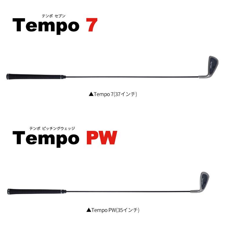 レア/テンポマスター 7番アイアン/Temp Master/練習器具