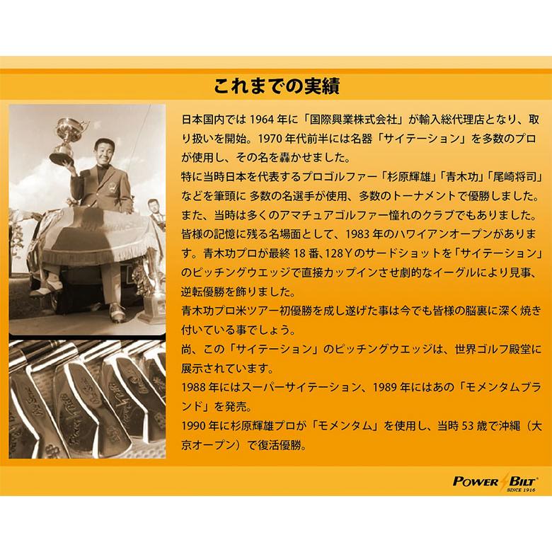「クラブセットのみ」パワービルト ゴルフ モメンタムサイン クラブセット 11本組(1W,5W,3U,4U,7-P,A,S,PT) キャディバッグ無しの画像