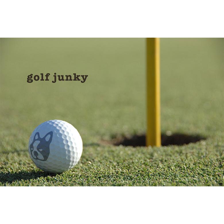 「クリアランス」 ゴルフジャンキー GJ20001 半袖 ポロシャツ ホワイト(1)ゴルフウェア 2204kmweテレ東アトミックゴルフ