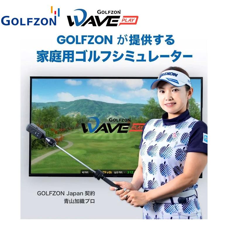 ゴルフゾン WAVE PLAY 家庭用 ゴルフシミュレーター : テレ東