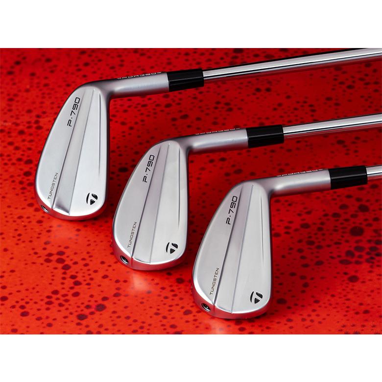 【フェン Buy3S様】テーラーメイド P790 アイアンセット 5～P 6本 TaylorMade（テーラーメイド） P790 アイアン5本セット(#6-PW) N.S.PRO