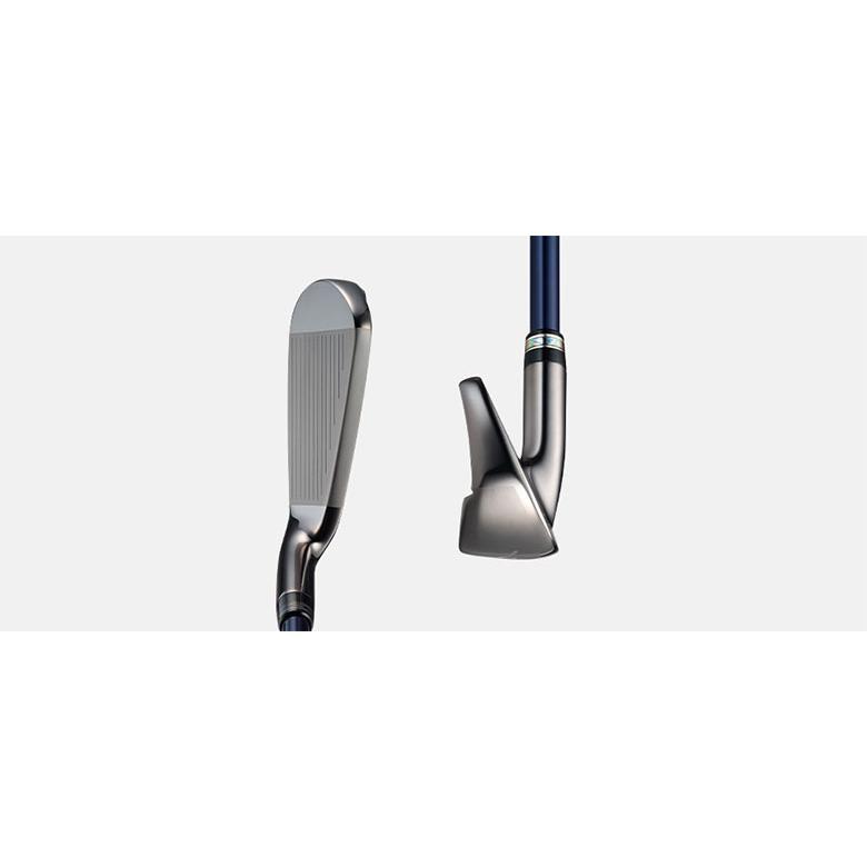 MAJESTY（マジェスティ） ゴルフ ロイヤル アイアン単品 MAJESTY LV550