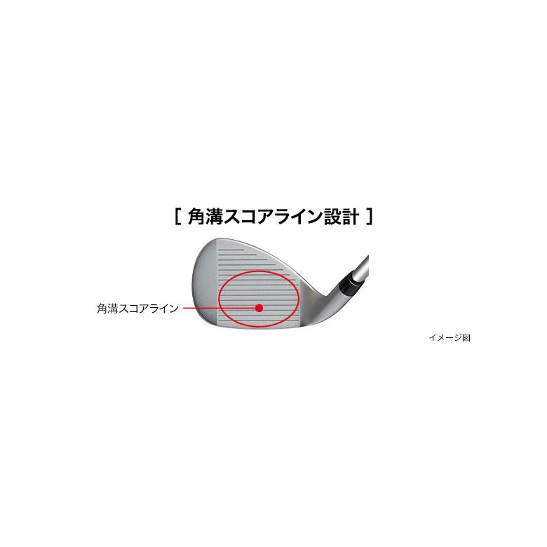 「レディース」プロギア スーパーエッグ エボリューション アイアンセット 5本組(7-P,A) SUPER egg evolution M-30 カーボンシャフトの画像