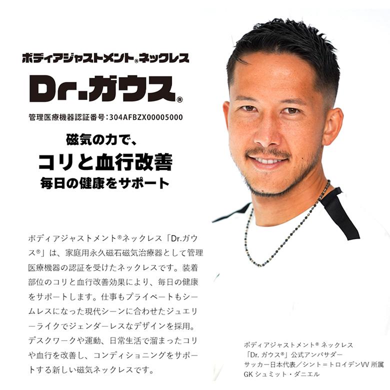 ドクターガウス マンテルタイプ 45cm ネックレス Dr.ガウス : テレ東