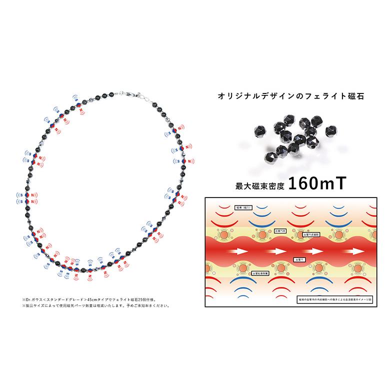ドクターガウス マンテルタイプ 45cm ネックレス Dr.ガウス : テレ東