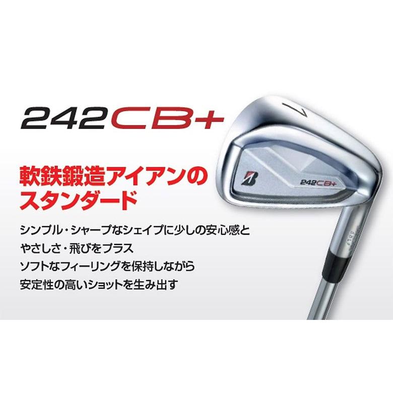 ブリヂストンスポーツ 「レフティー/左用/カスタムスペック