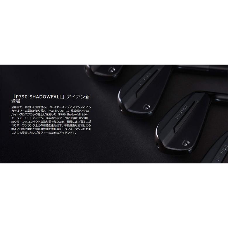 TaylorMade（テーラーメイド） 「USモデル」テーラーメイド P790