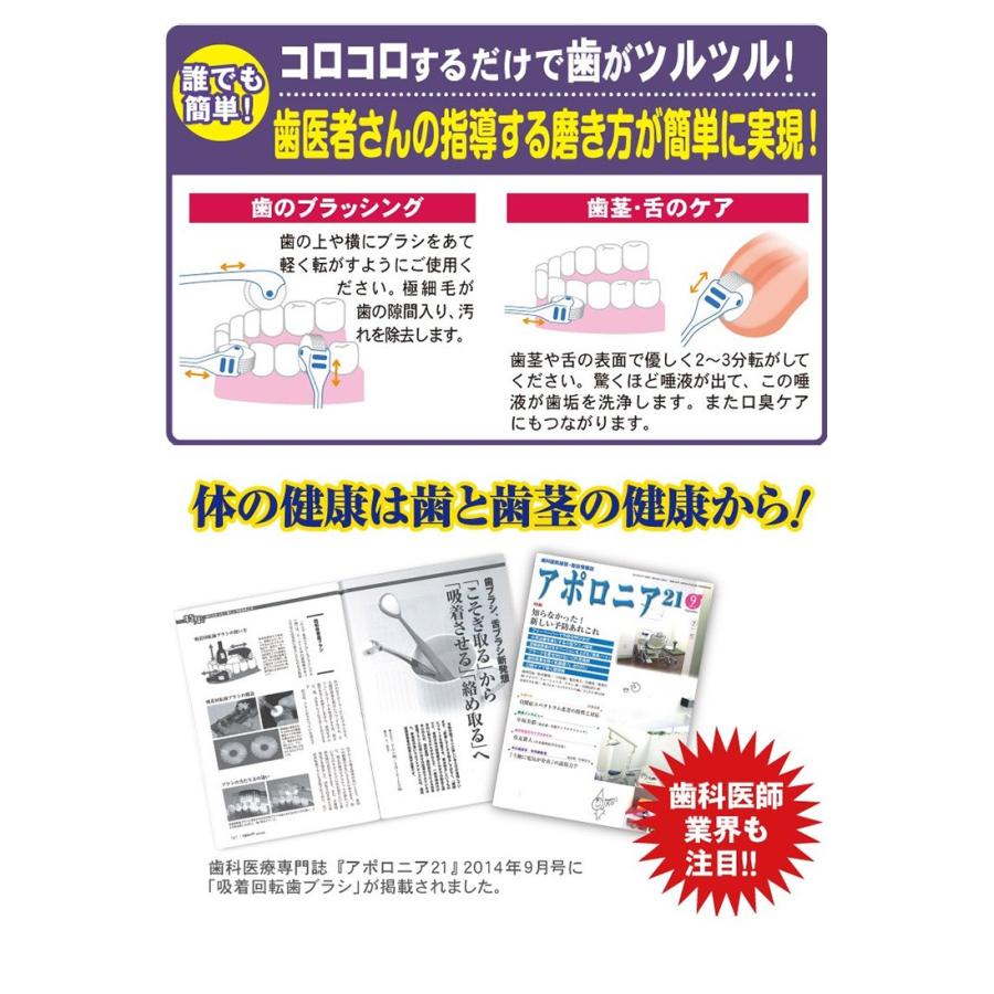 ポイント15倍 送料無料 回転歯ブラシ クルン プレミアム 6本セット 歯磨き デンタルケア 特価キャンペーン 口臭予防 オーラルケア ハミガキ 歯ブラシ