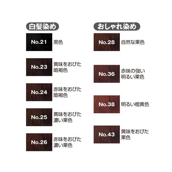 アン ヘアカラー #23（黄色味をおびた暗褐色）Ann 白箱【ヘアカラー