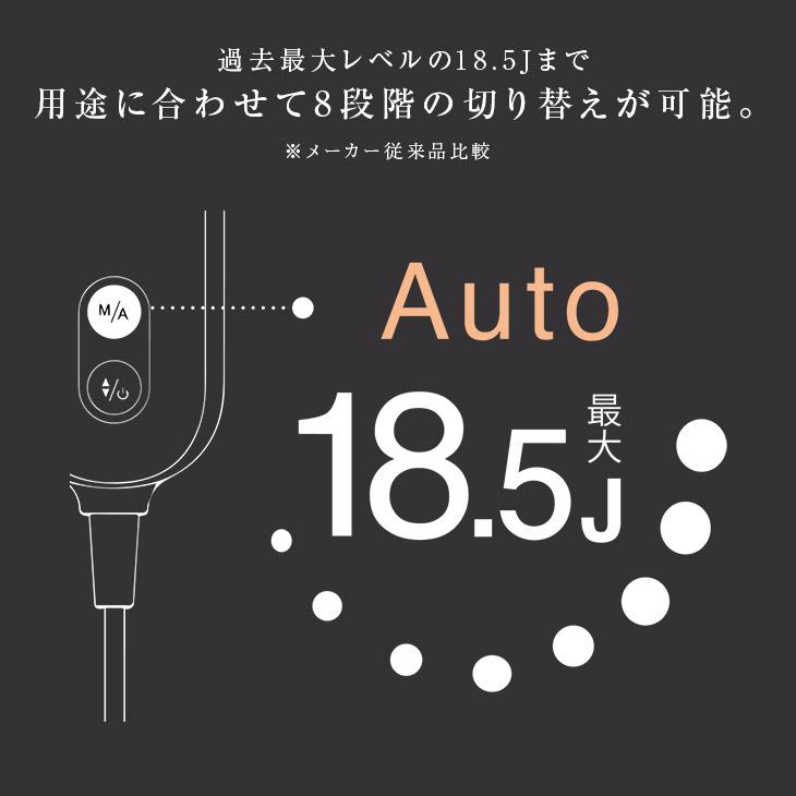 ナナミルさん専用。Biito脱毛器。新品未使用 光脱毛器 ビートツー クール（Biito 2 Cool）光総合美容器 業務用脱毛