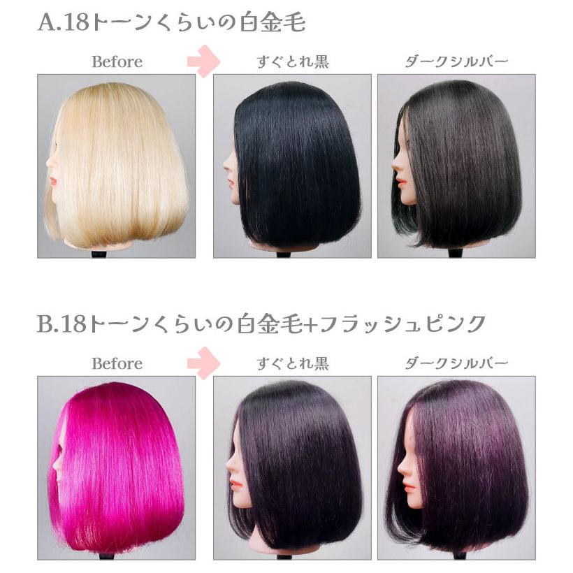 Ancels（エンシェールズ） すぐとれ黒 300g 黒染め 黒髪 ヘアカラー