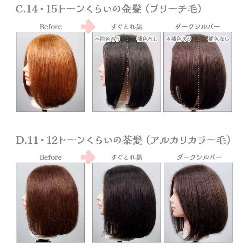 Ancels（エンシェールズ） すぐとれ黒 300g 黒染め 黒髪 ヘアカラー