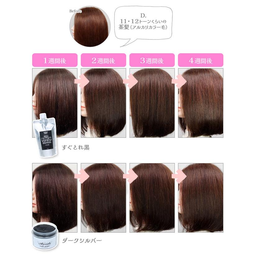 Ancels（エンシェールズ） すぐとれ黒 300g 黒染め 黒髪 ヘアカラー