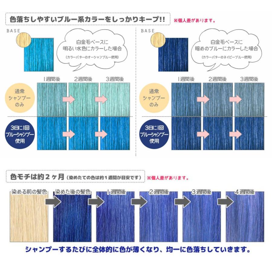 エンシェールズ カラーシャンプー ブルーシャンプー 200mL カラー ヘアカラー 髪色 キープ 退色防止 保湿 潤い 対策 予防 ケア ヘアケア 簡単 人気 |  | 02
