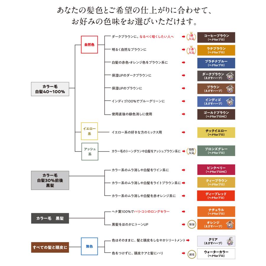 JAPAN HENNA ジャパンヘナ 人工染料入りヘナ ダークブラウン 100g