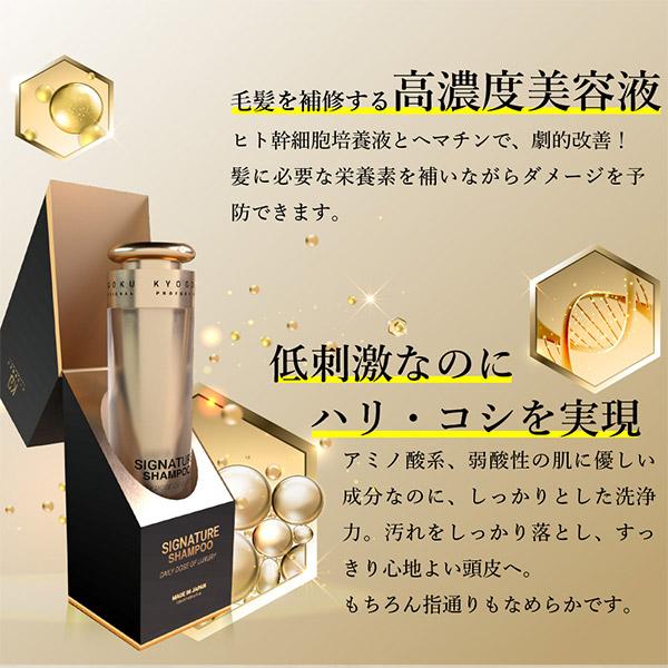 KYOGOKU シグネイチャーシャンプー 120ml 楽天市場】KYOGOKU Kyogoku シグネチャーシャンプー120ml ヒト幹細胞