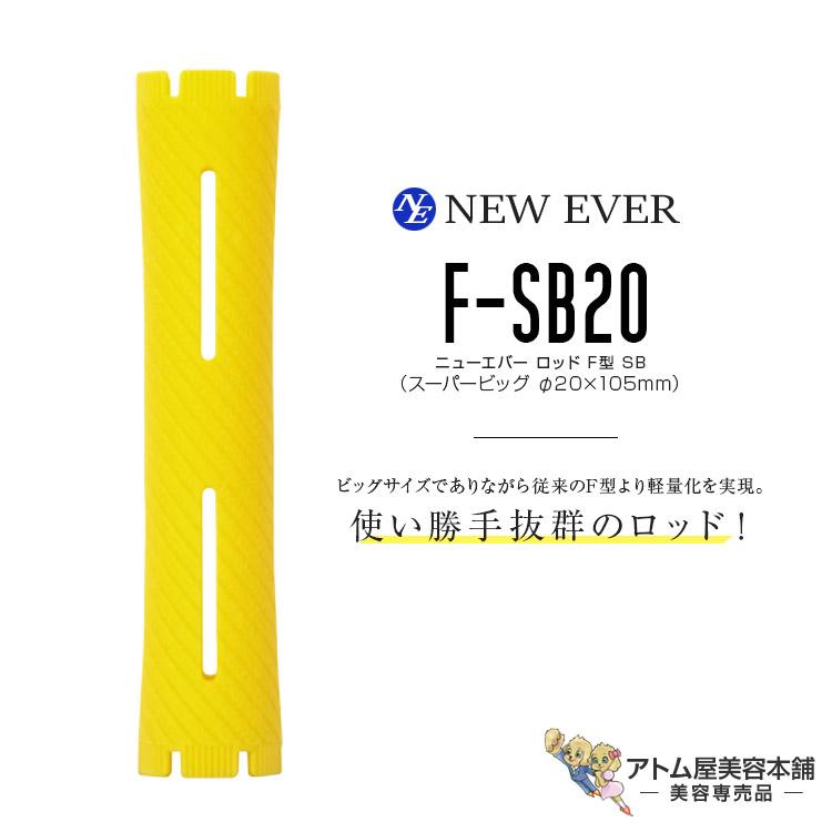 ニューエバー ロッド F型 スーパービッグ F-SB20（10本入り／20mm
