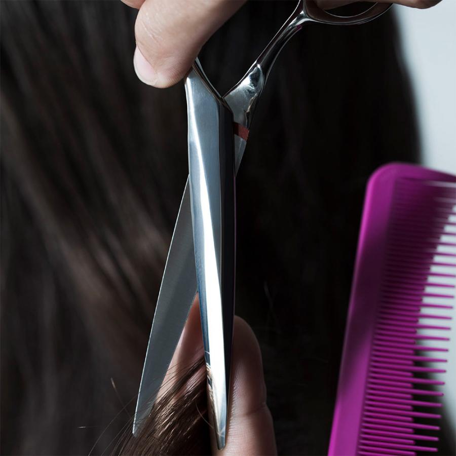 HIKARI 【正規品】HIKARI（ヒカリシザーズ）SLIIK COSMOS 811（5.75