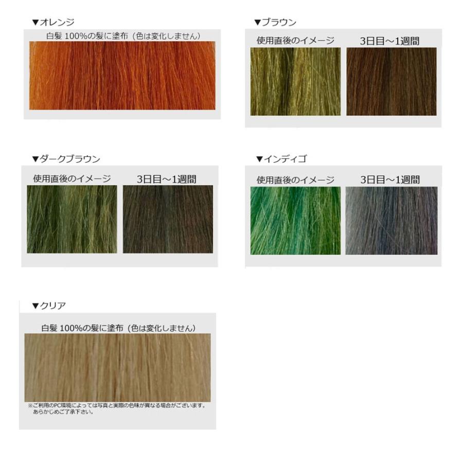 ジャパンヘナ えびすハーブ 100g＜クリア＞毛髪専用トリートメントパウダー ベースヘナ ヘナパウダー ヘアカラー ヘアケア スカルプケア | JAPAN HENNA | 03