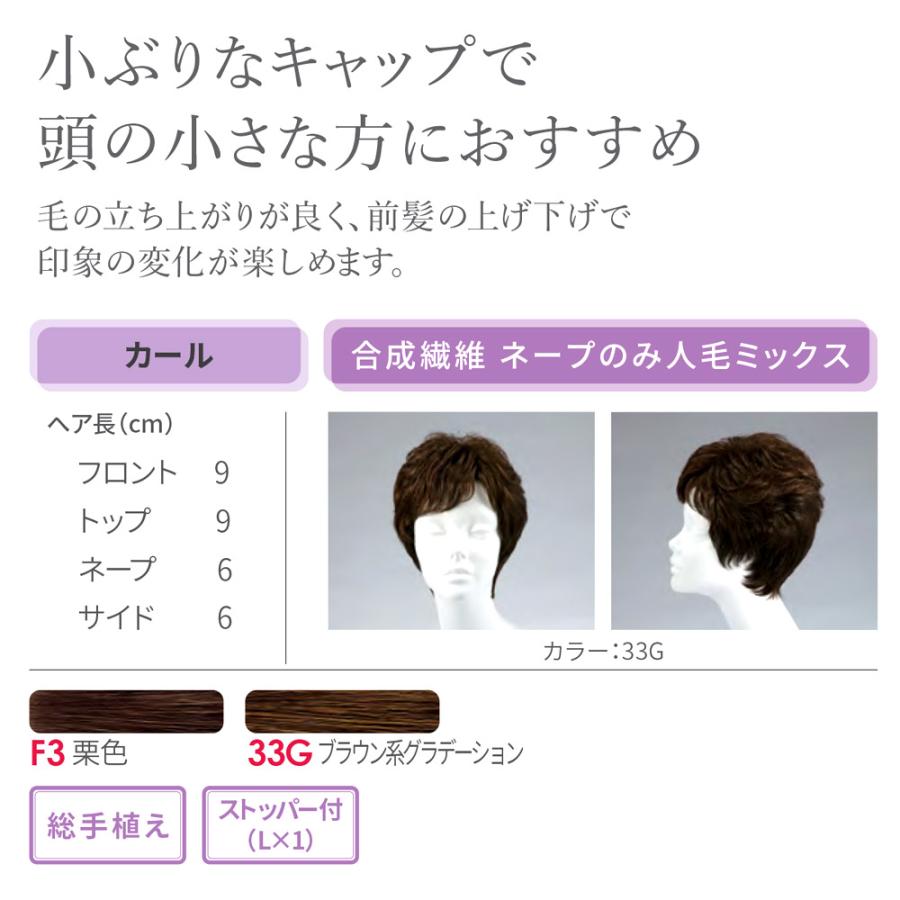 フォンテーヌ フルウィッグ DE12 ショート 合成繊維（ネープのみ