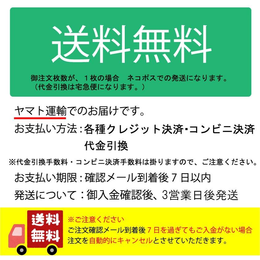 昆虫イラストtシャツ スパイダー 蜘蛛 両面プリント A S あとらす工房 通販 Yahoo ショッピング