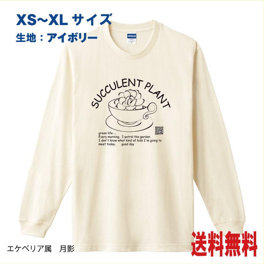 多肉植物　Tシャツ　長袖　多肉植物イラスト（カップ）　袖リブ付ロンｔ｜atoraskobo