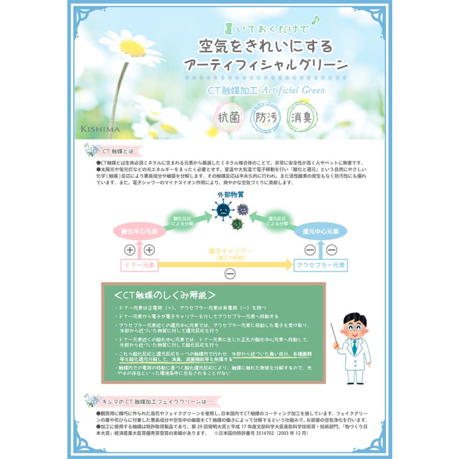 多肉植物 寄せ植え CT触媒消臭アーティフィシャルグリーン エクリア小瓶A サボテン フェイクグリーン 抗菌 癒しグッズ プレゼント｜atori-store｜03