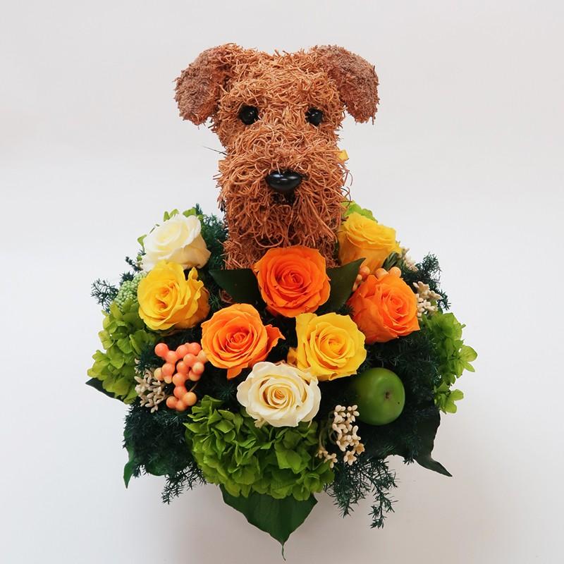 プリザーブドフラワーアレンジ犬 エアデールテリア Cute 結婚祝い 誕生日 ギフト プレゼント 開店祝い 動物病院開院祝い ペットのお悔やみ
