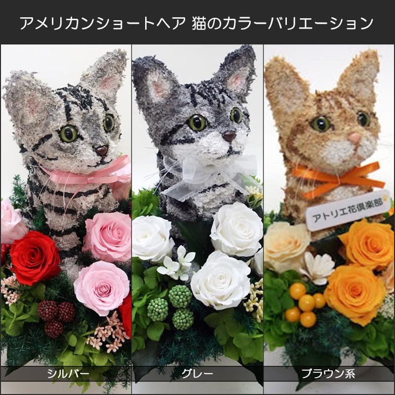 プリザーブドフラワーアレンジ猫 アメリカンショートヘア Beauty 結婚祝い 誕生日 ギフト プレゼント 開店祝い 動物病院開院祝い ペットのお悔やみ Americanshorthair Beauty 動物トピアリー アトリエ花倶楽部 通販 Yahoo ショッピング