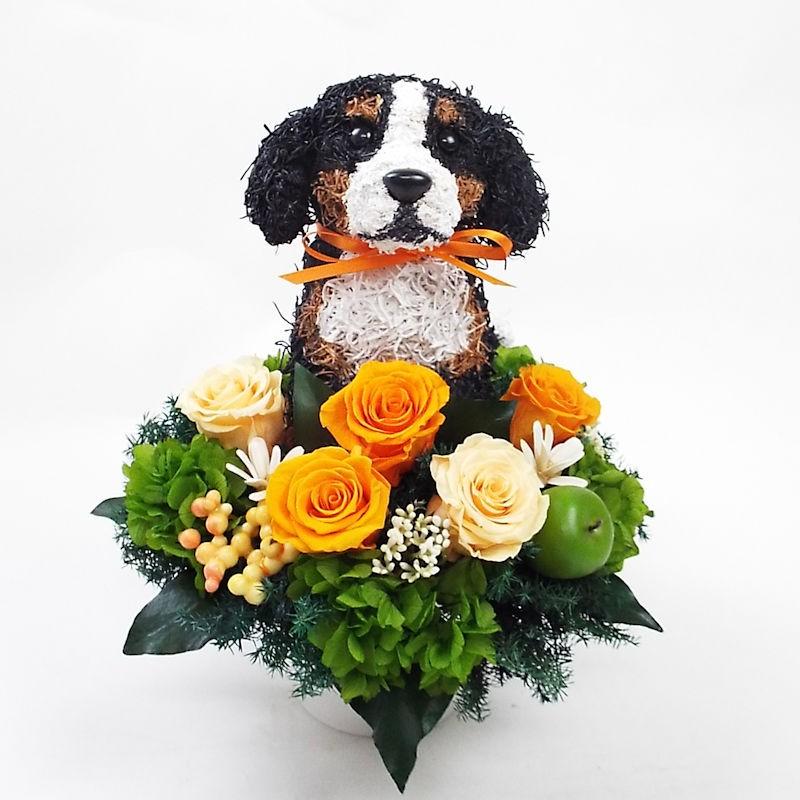 プリザーブドフラワーアレンジ犬 バーニーズマウンテンのトピアリー Pretty 結婚祝い 誕生日 ギフト プレゼント 開店祝い 動物病院開院祝い