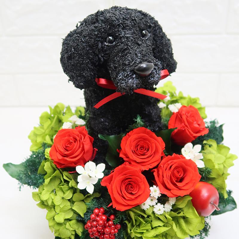 プリザーブドフラワーアレンジ犬 黒ラブ Pretty 結婚祝い 誕生日