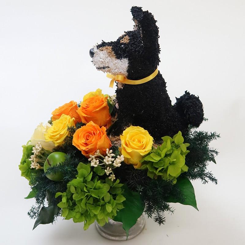 プリザーブドフラワーアレンジ犬 黒柴犬 Cute 結婚祝い 誕生日 ギフト