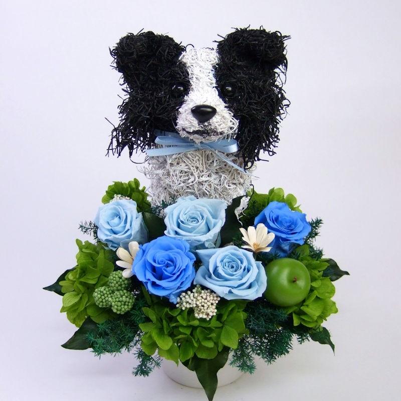 プリザーブドフラワーアレンジ犬 ボーダーコリーのトピアリー Pretty 結婚祝い 誕生日 ギフト プレゼント 開店祝い 動物病院開院祝い