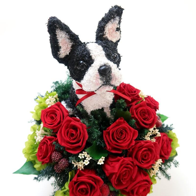 定番人気 ボストンテリアのおしゃれなプリザーブドフラワー プリザーブドフラワーアレンジ犬 ボストンテリアのトピアリー Beauty 結婚祝い 誕生日 ギフト プレゼント 開店祝い 動物病院開院祝い プリザーブドフラワー Maverin Com