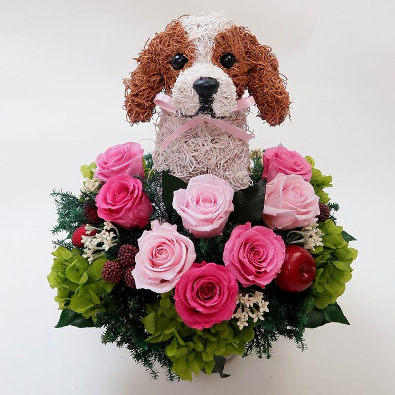 楽天カード分割 プリザーブドフラワーアレンジ犬 キャバリアのトピアリー Cute 結婚祝い 誕生日 ギフト プレゼント 開店祝い 動物病院開院祝い ペットのお悔やみ 年最新海外 Www Iccostierovico Edu It