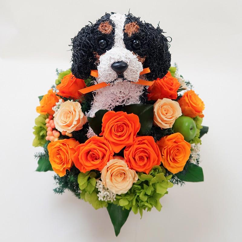 プリザーブドフラワーアレンジ犬 キャバリアトライカラーのトピアリー Beauty 結婚祝い 誕生日 ギフト プレゼント 開店祝い 動物病院開院祝い