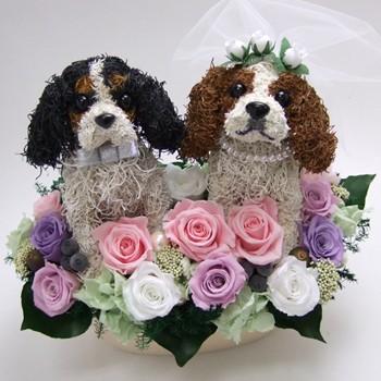 ウェルカムドール キャバリア 結婚式用 結婚祝い ウエディング ギフト プレゼント