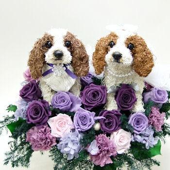 アトリエ花倶楽部 Cavalier Welcomedog Order 動物トピアリー ウェルカムドール オーダーメイド オーダーメイド キャバリアの豪華な