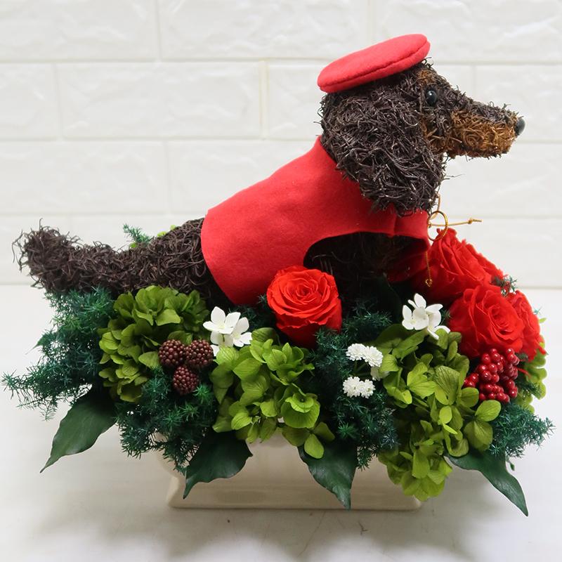 還暦祝いのちゃんちゃんこ付きダックスのプリザーブドフラワーアレンジ