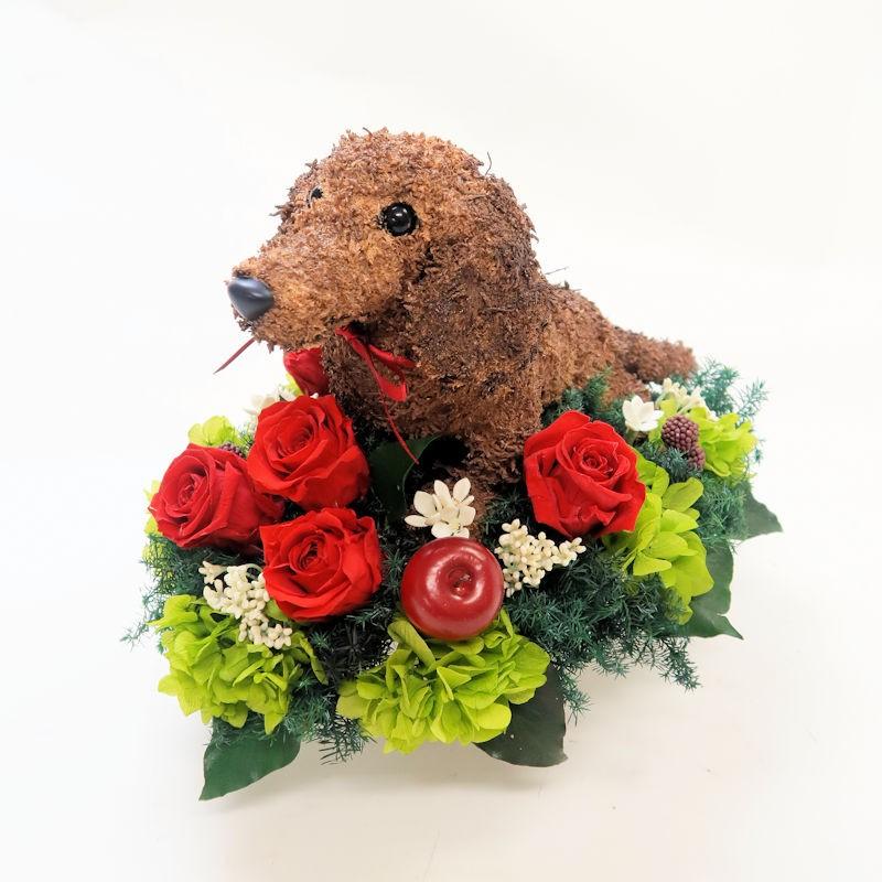 プリザーブドフラワー犬 ダックス スムース pretty 結婚祝い 誕生日