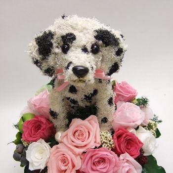 プリザーブドフラワーアレンジ犬 ダルメシアン Beauty 結婚祝い 誕生日 ギフト プレゼント 開店祝い 動物病院開院祝い ペットのお悔やみ 結婚祝い 開店祝い 動物病院開院祝い ギフト 誕生日プレゼント