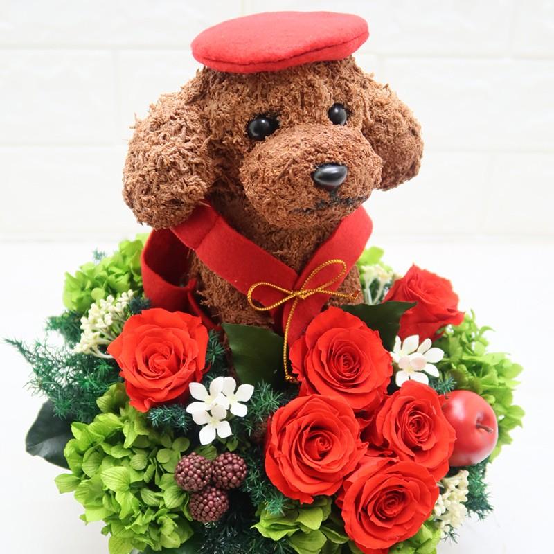 犬　トイプードル　プリザーブドフラワー プリザーブドフラワー犬 トイプードル cute 結婚祝い 誕生日 ギフト