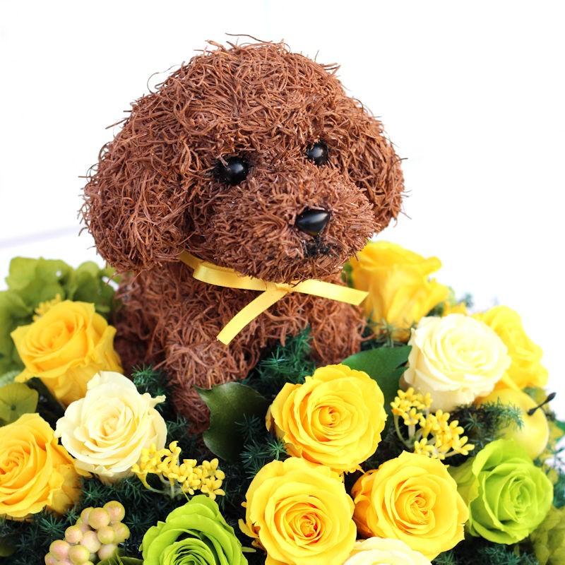 プリザーブドフラワーアレンジ 犬 トイプードルロングBeauty 結婚祝い 誕生日 ギフト プレゼント 開店祝い 動物病院開院祝い ペットのお悔やみ｜atorie-hanaclub｜03